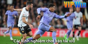 Kinh nghiệm chơi kèo tài xỉu: Chìa khóa dẫn dắt anh em tới thành công