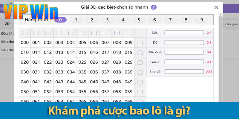 Cược bao lô là gì? Ưu và nhược điểm của từng hình thức cược