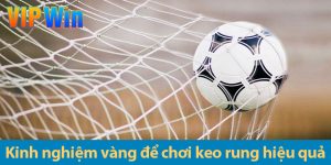 Kèo rung bóng đá – Khám phá các kèo rung và kinh nghiệm chơi hiệu quả 2025